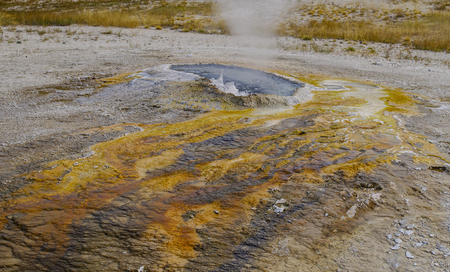 Yellowstone National Park USA and geothermal springsの写真素材
