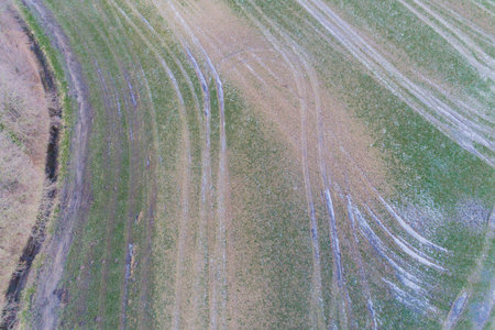 Aerial view of corn fields after a rainy season