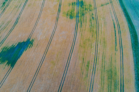 Drone flight and aerial view over a cornfieldの写真素材