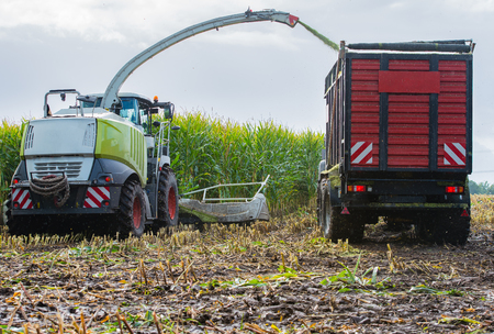 Corn harvest, corn harvester in action, harvest truck with tractorの写真素材