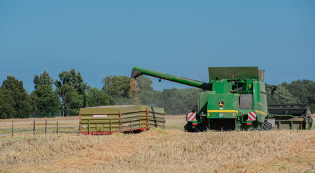grain harvest combine harvesterのeditorial素材