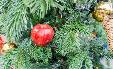 Christmas ball on Christmas treeの写真素材