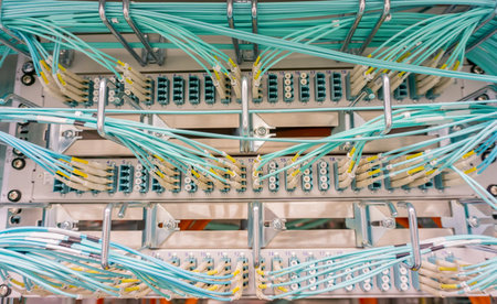 Network switch connections for network cable RJ45 and cable fiber optic cable