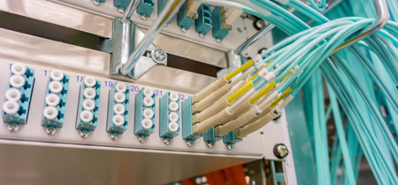 Network switch connections for network cable RJ45 and cable fiber optic cable