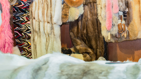 Fur and for sales at the Christmas market in Hamburgの写真素材