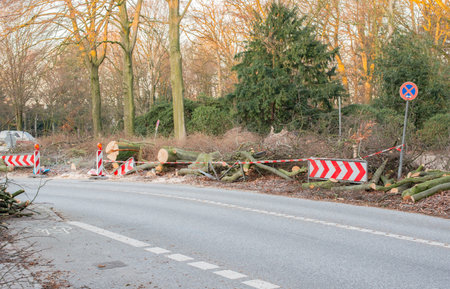 Storm in Hamburg trees overturned with cordon tape Fire Department Sperrzone English text for fire...
