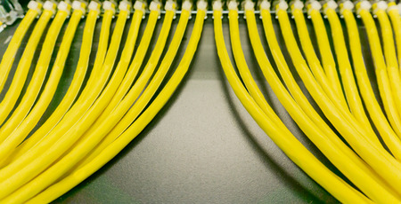 Network switch and network cable in a data centerの写真素材