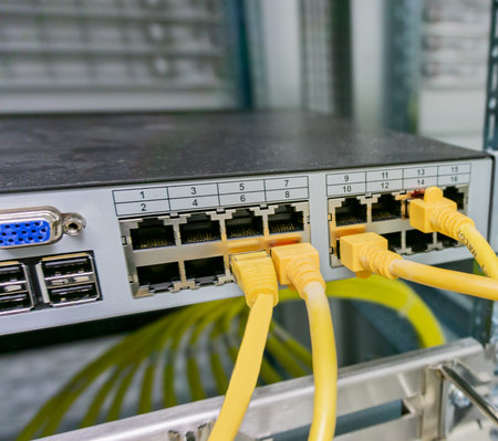 Network switch and network cable in a data center