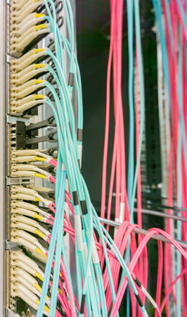 Network switch and network cable in a data center