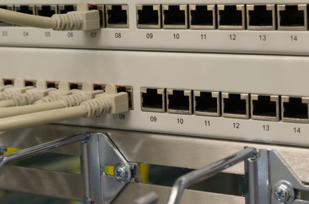 Network switch and network cable in a data center
