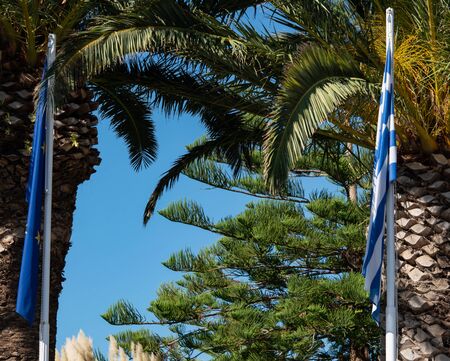 Greece flag in front of palm trees on Kos islandの写真素材