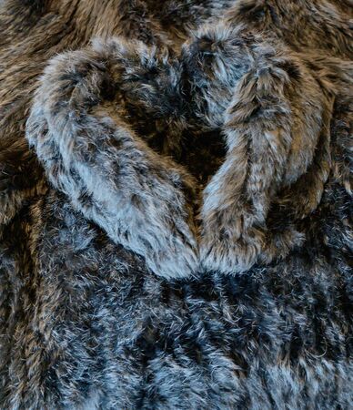 Rabbit fur jacket in heart shape photographed as a backgroundの写真素材