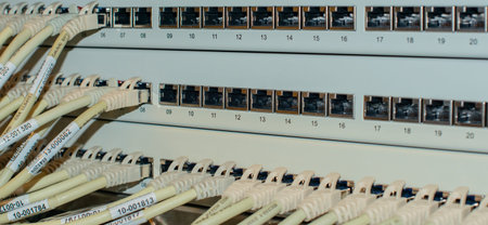 Network switch and network cable RJ45 patch cable in a data center