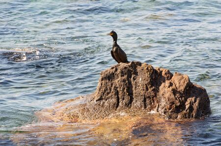 Volcanic rock and clear seawater on the coastal island of Nisyros Greeceの写真素材