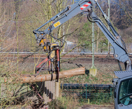 Tree care clearing up with an excavator