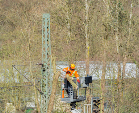 Tree care from a lift, branches are sawn off with a chainsaw
