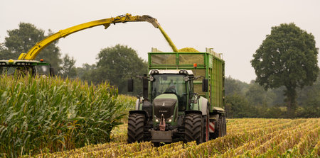Agricultural machinery tractor and chopper during the corn harvestのeditorial素材