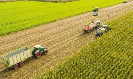 Tractor and corn chopper during corn harvestの写真素材