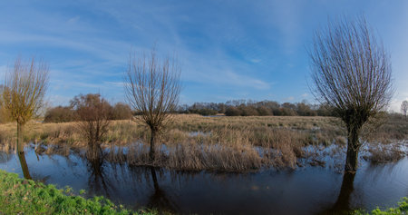 Fisheye perspective Fields and meadows flooded after a stormの写真素材