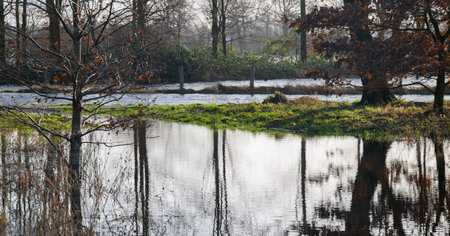 Fields and meadows flooded after a stormの写真素材
