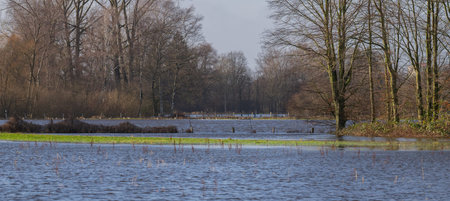 Fields and meadows flooded after a stormの写真素材