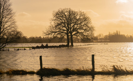 Sunset, fields and meadows flooded after a stormの写真素材