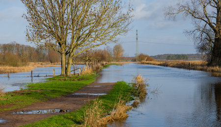 Fields and meadows flooded after a stormの写真素材