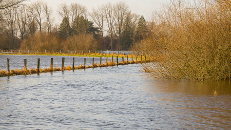 Fields and meadows flooded after a stormの写真素材