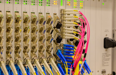 Fiber optic network cable connected to a switchの写真素材