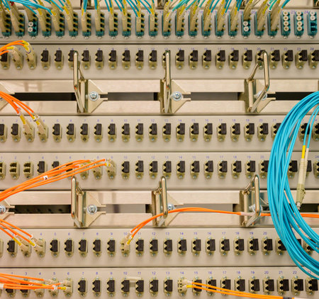 Fiber optic network cable connected to a switchの写真素材