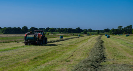 Black tractor with a red straw chamber press during the straw harvest on a mown field