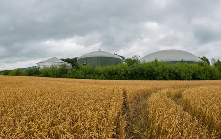 Wheat field in front of a biogas plant for power generation and energy productionの写真素材
