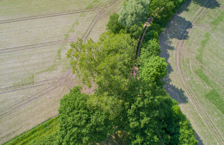 Drone aerial view of various agricultural fields in Schleswig Holstein Germanyの写真素材