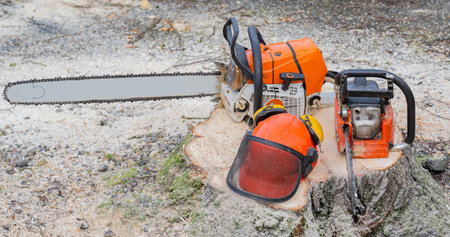 Still Chainsaw and safety helmet lies on a log after the tree has been felledの写真素材