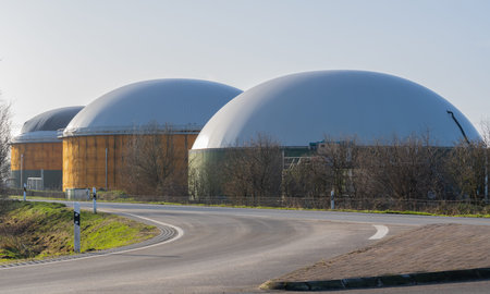 Biogas plant for power generation and energy generation