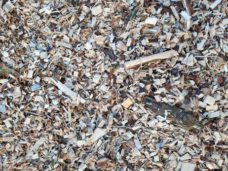Wood chips for biofuels