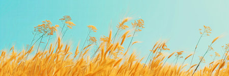 Golden wheat stalks swaying gently in the wind, against a clear blue summer skyの素材