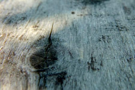 Close-up view of a weathered wooden board showing its unique fiber texture and natural imperfections.の写真素材
