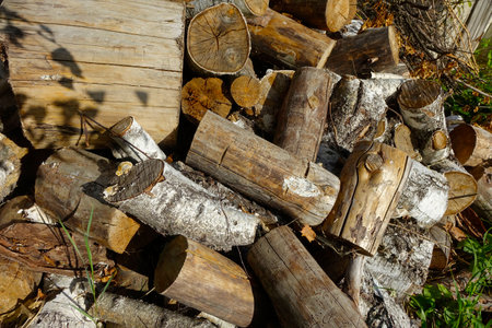 Freshly cut birch and pine logs lie stacked in a garden.の写真素材