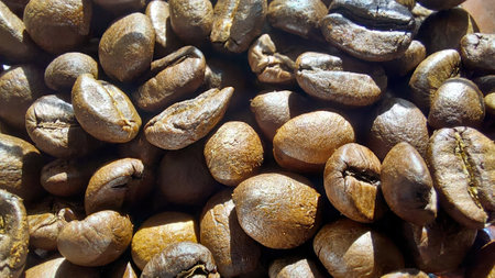 Close examination of freshly roasted coffee beans reveals their deep brown color and glossy surface, indicative of rich flavor and aroma found in quality brews.の写真素材