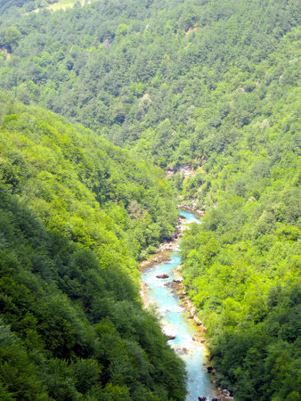 Discover the breathtaking Tara River Canyon in Montenegro, featuring vibrant greenery and crystal-clear waters, perfect for nature lovers and adventure seekers alike.の写真素材