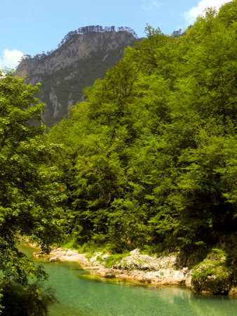 Gaze upon the vibrant greenery along the tranquil Tara River, with towering mountains providing a stunning backdrop in Montenegro. Natures beauty thrives in this serene setting.の写真素材