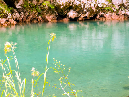 Tara River Canyon in Montenegro showcases stunning turquoise waters surrounded by lush greenery and...