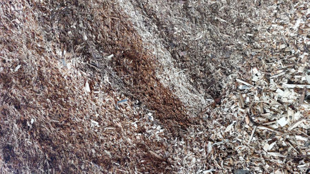 Wood chips are piled high in a storage area for the production of biofuel, showing a sustainable energy source. This method promotes environmental responsibility.の写真素材