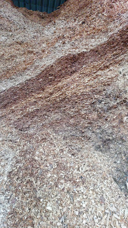 Wood chips are piled high as they undergo processing in a biofuel facility, promoting renewable energy generation and sustainability efforts in environmental management.の写真素材