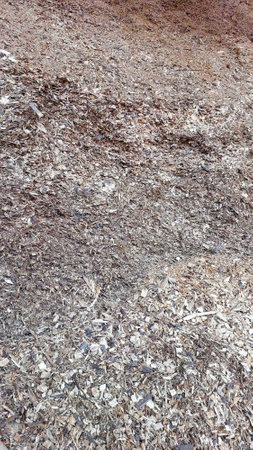 Large piles of wood chips are prepared for conversion into biofuel at a facility. This sustainable method supports renewable energy production.の写真素材