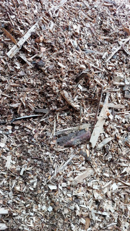 Wood chips are being processed for biofuel production at an industrial location, showing the renewable energy initiative. The activity emphasizes sustainability.の写真素材