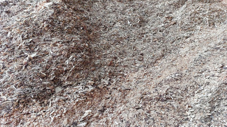 In a renewable energy facility, wood chips are prepared for conversion into biofuel. The activity takes place during the afternoon when sunlight illuminates the workspace.の写真素材