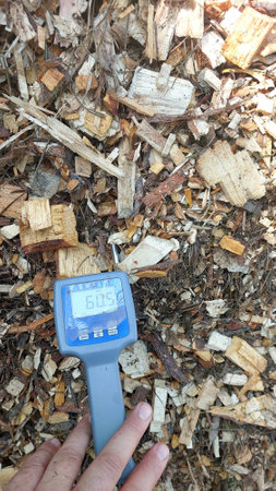 A handheld moisture meter is used to check the moisture level of wood chip biofuel in a storage area, providing crucial data for efficient biomass energy production.の写真素材
