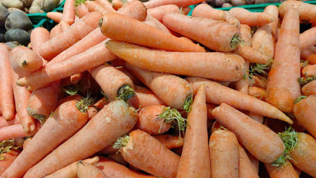 Vibrant, washed root vegetables are stacked together at a farmers market, showing their bright orange color and fresh appearance, inviting shoppers to purchase.の写真素材
